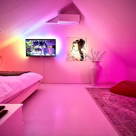 Private Art House Next To The Dunes, And Forest 4* Den Haag